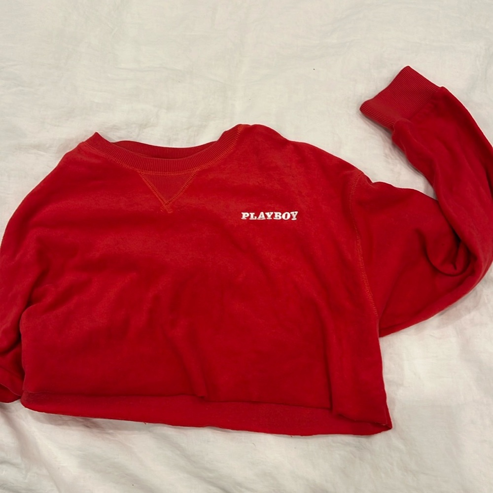 Playboy x Pacsun Cropped Hoodie